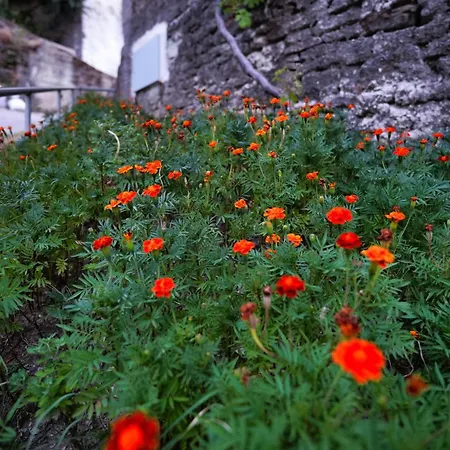 Zilfe 招待所 Gjirokastër