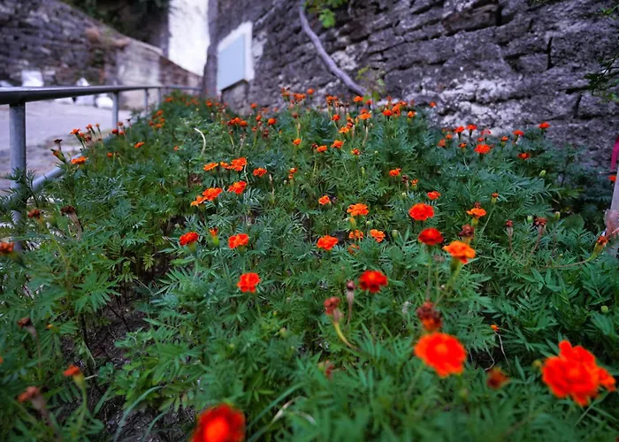 Zilfe Maison d'hôtes Gjirokastër